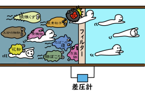 フィルターの種類